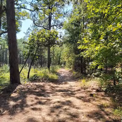 Carvers Creek State Park - Spring Lake, NC