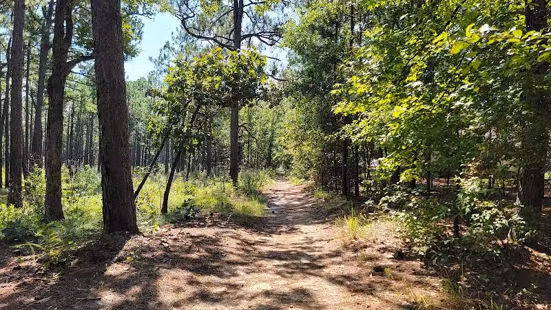 Carvers Creek State Park - Spring Lake, NC