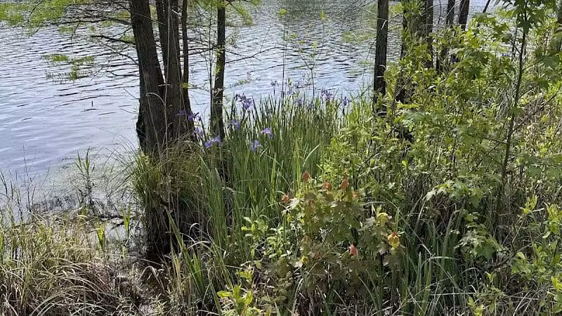 Carvers Creek State Park - Spring Lake, NC