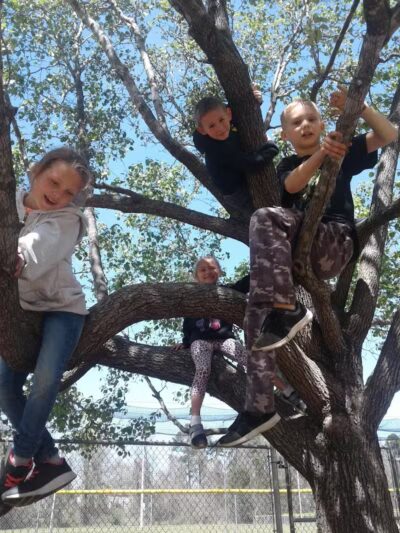 Edward Mendoza Municipal Park - Spring Lake, NC