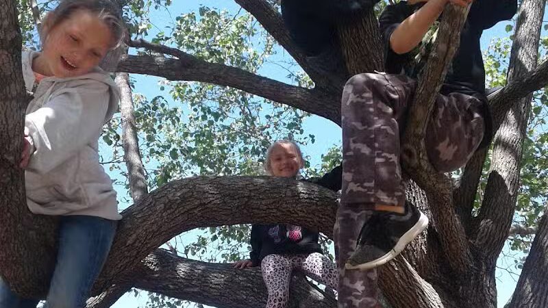 Edward Mendoza Municipal Park - Spring Lake, NC