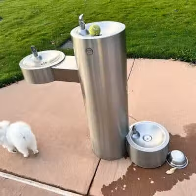Springwoods Village Dog Park - Spring, TX
