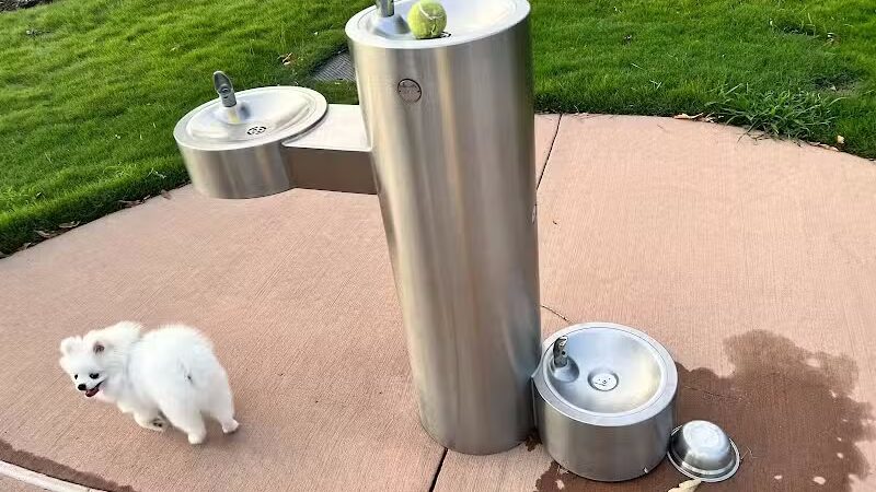 Springwoods Village Dog Park - Spring, TX