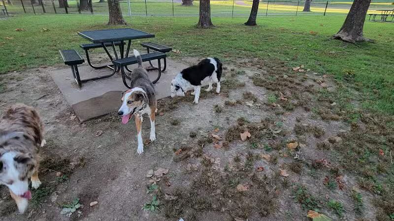 Rotary Dog Park - Springdale, AR
