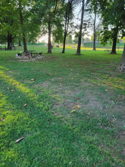 Rotary Dog Park - Springdale, AR