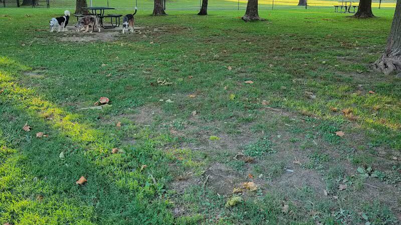 Rotary Dog Park - Springdale, AR