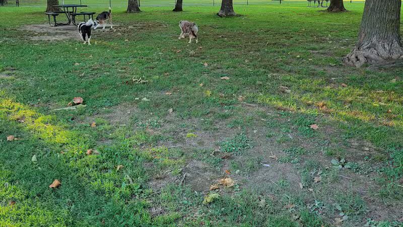 Rotary Dog Park - Springdale, AR