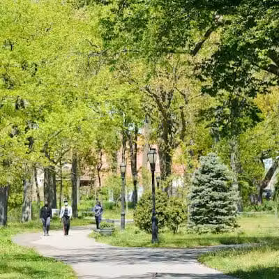 Springfield Park - Springfield Gardens, NY