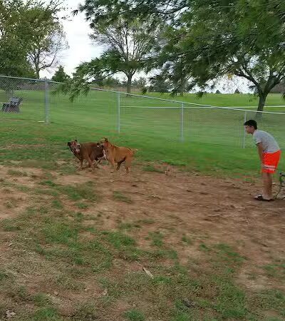 Stuart Park - Springfield, IL