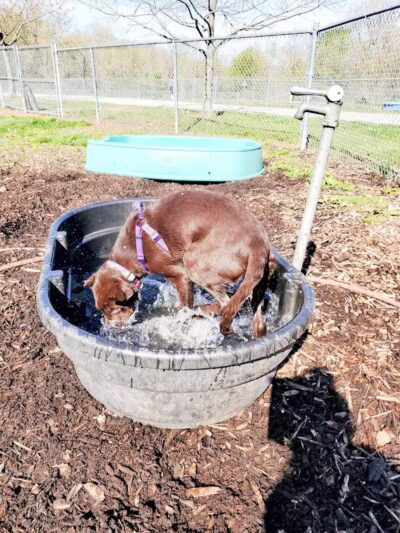 Stuart Park - Springfield, IL