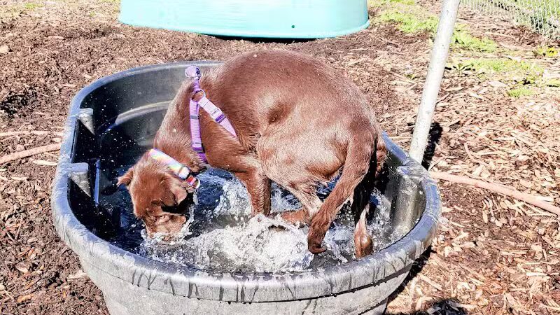 Stuart Park - Springfield, IL