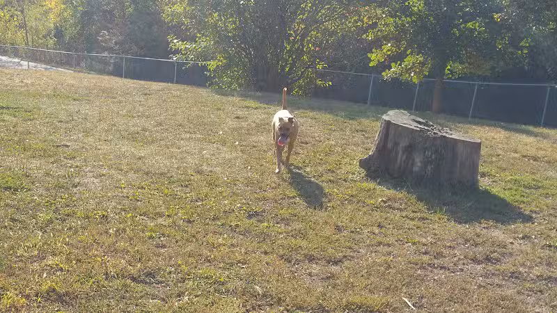 Stuart Park - Springfield, IL