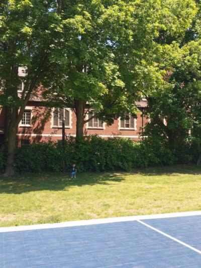 Adams Park - Springfield, MA