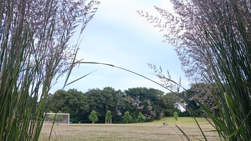 Beauregard & Schiavina Park - Springfield, MA