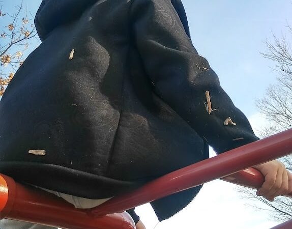 Calhoun Park - Springfield, MA