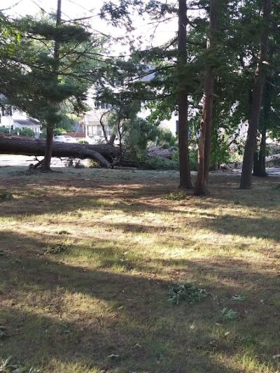 Cottage Hill Park - Springfield, MA