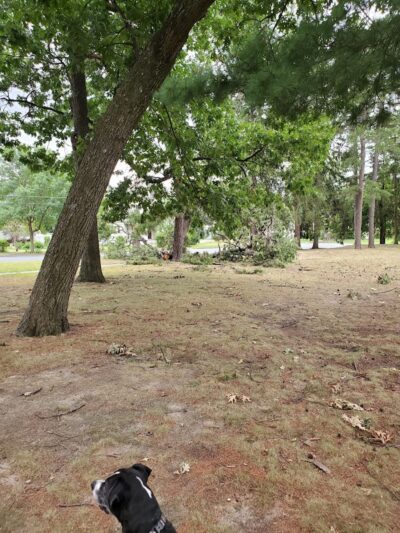 Cottage Hill Park - Springfield, MA