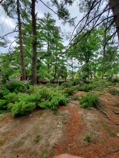 Cottage Hill Park - Springfield, MA