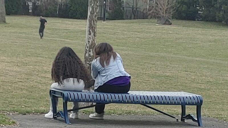 Emerson Wight park - Springfield, MA