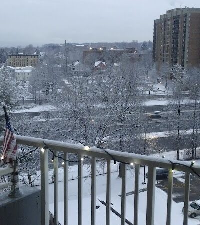 Emily Bill Park - Springfield, MA