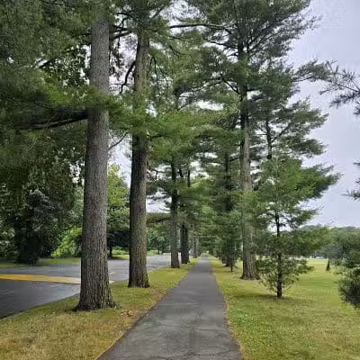 Forest Park - Springfield, MA
