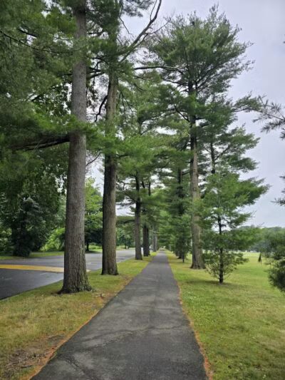 Forest Park - Springfield, MA