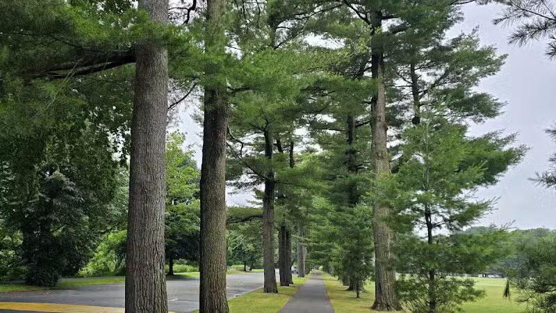 Forest Park - Springfield, MA