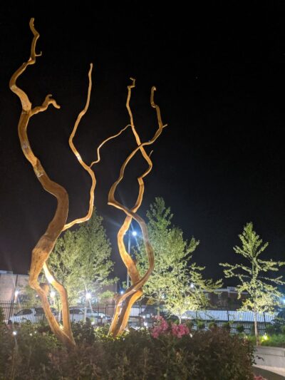 Leonardo da Vinci Park - Springfield, MA