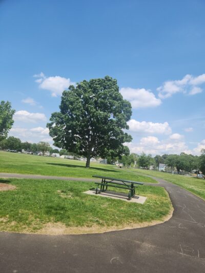 Marshall Roy Park - Springfield, MA