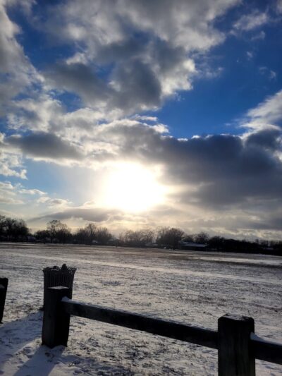 Marshall Roy Park - Springfield, MA
