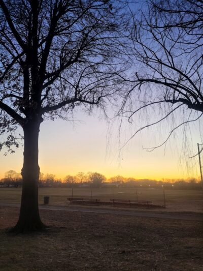 Marshall Roy Park - Springfield, MA