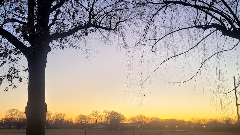 Marshall Roy Park - Springfield, MA