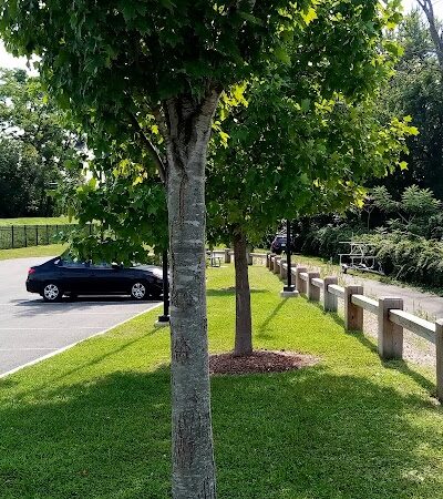 North Riverfront Park - Springfield, MA