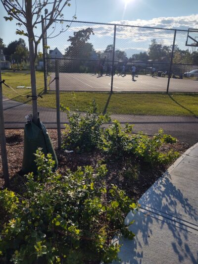 Samuel Golden Park - Springfield, MA