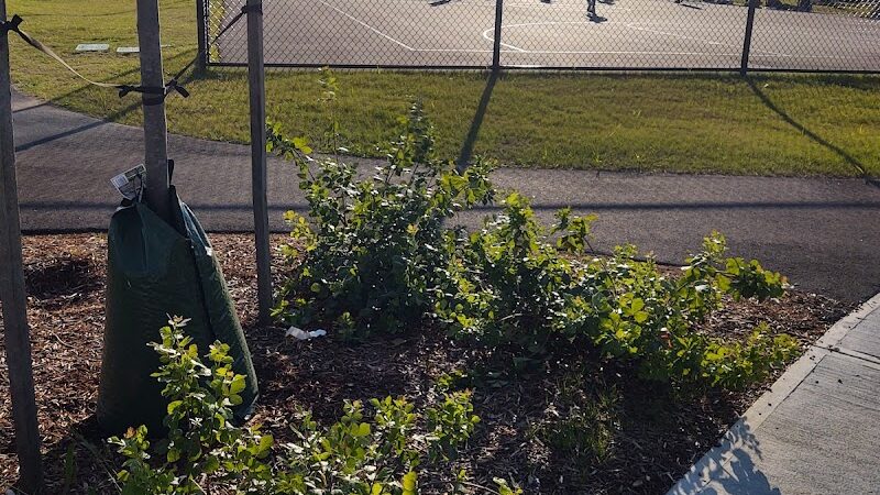 Samuel Golden Park - Springfield, MA