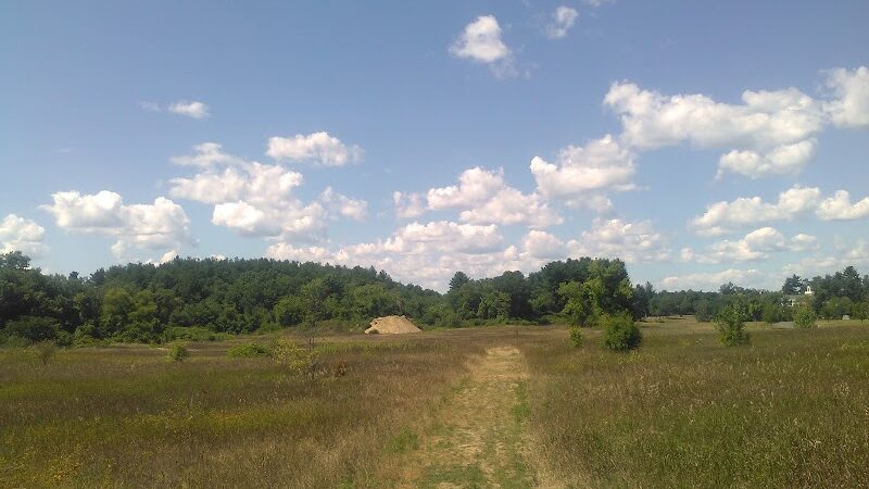 Tamarack Bog - Springfield, MA