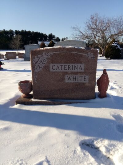 Tamarack Bog - Springfield, MA