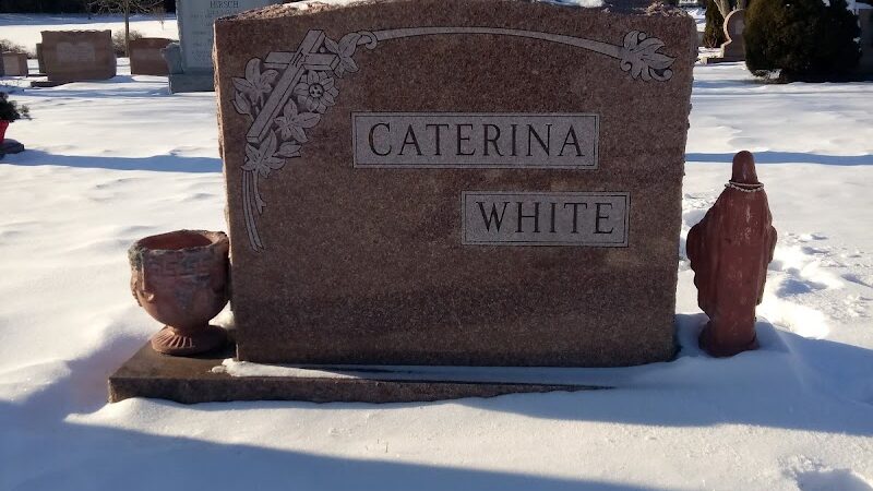 Tamarack Bog - Springfield, MA