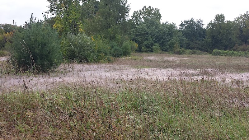 Tamarack Bog - Springfield, MA