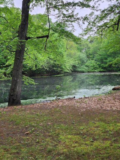Van Horn Park - Springfield, MA
