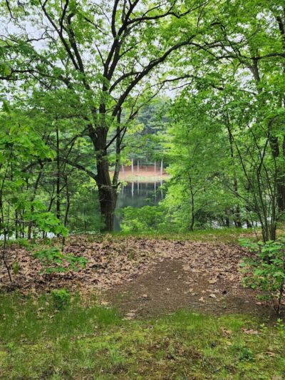 Van Horn Park - Springfield, MA