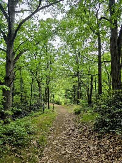 Van Horn Park - Springfield, MA