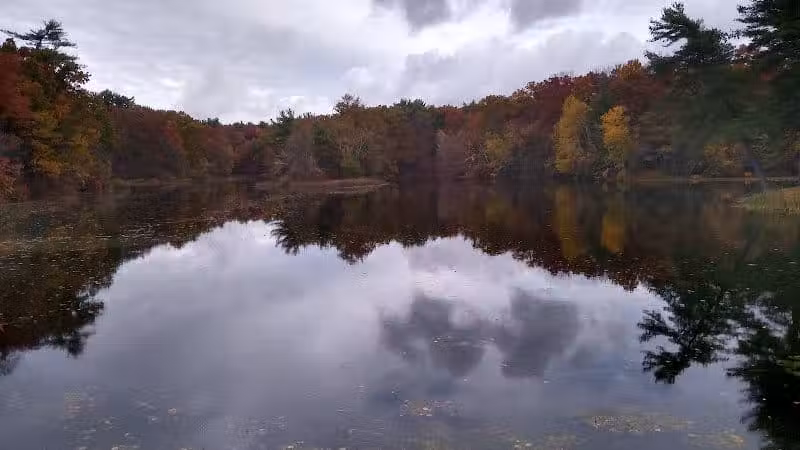 Van Horn Park - Springfield, MA