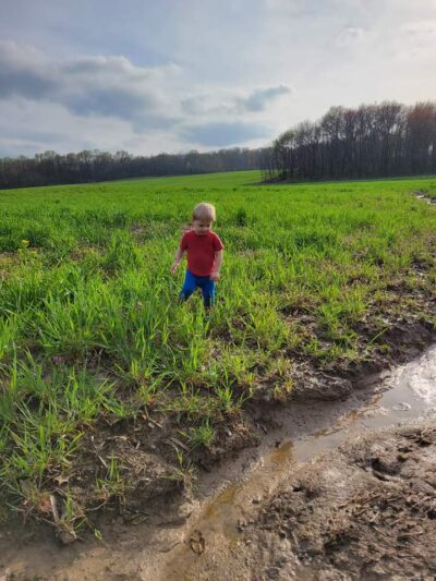 Saint Francisville Riverside Park & Campground - St Francisville, IL