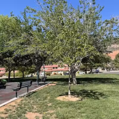 Black Hill View Park - St. George, UT