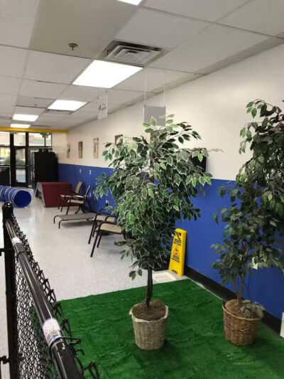 Desert Dog Oasis - St. George, UT