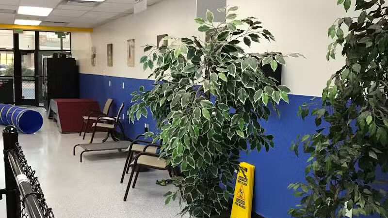 Desert Dog Oasis - St. George, UT