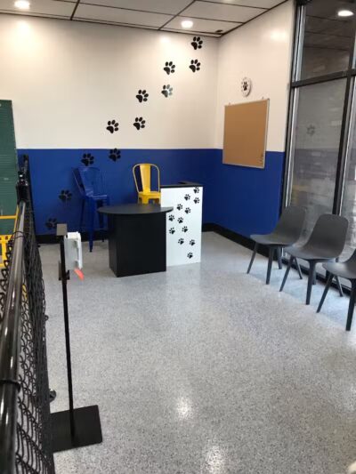 Desert Dog Oasis - St. George, UT