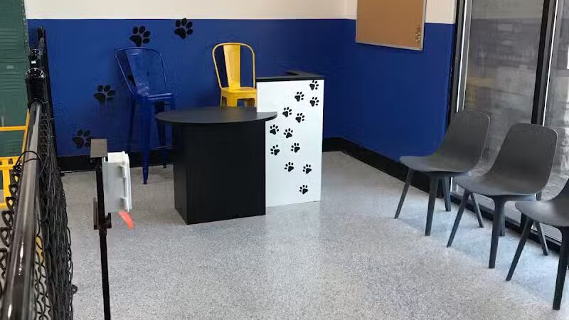 Desert Dog Oasis - St. George, UT