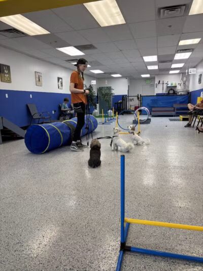 Desert Dog Oasis - St. George, UT